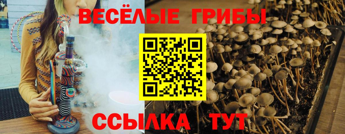 Россия  Псилоцибиновые грибы мухоморы  Галлюциногенные грибы мицелий  Вход с VPN 